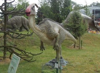 Majungasaurus - Facts and Pictures