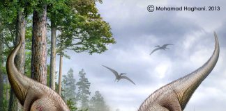Carcharodontosaurus by Mohamad Haghani