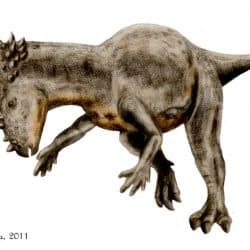 Pachycephalosaurus by Nobu Tamura
