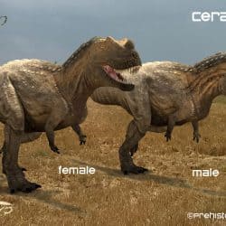 Ceratosaurus by Compiler