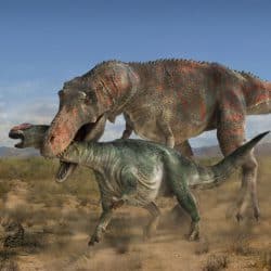 Tarbosaurus by Peter Minister
