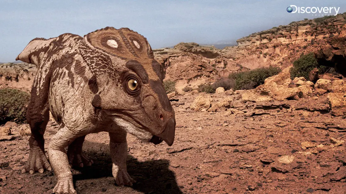 Protoceratops by Vlad Konstantinov