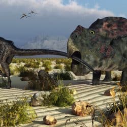 Protoceratops by Mark A Stevenson