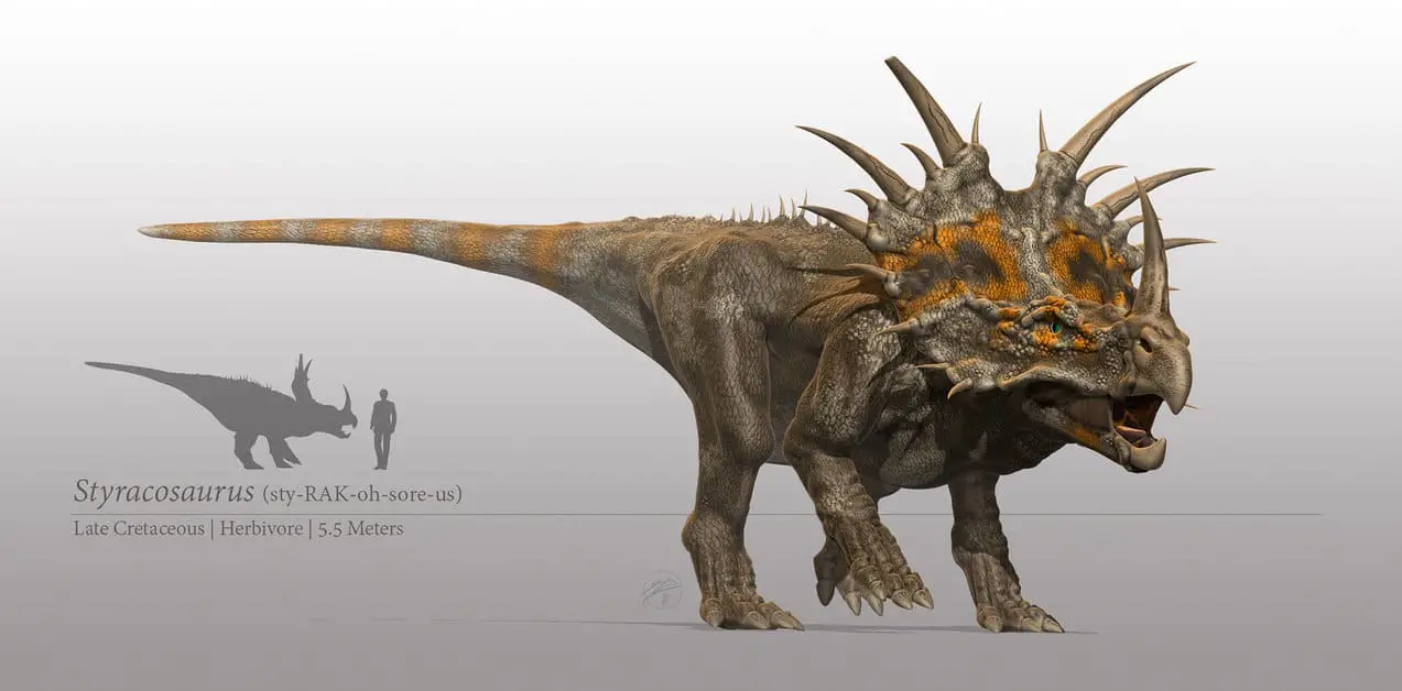 Styracosaurus by Steven Davis