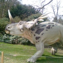 Styracosaurus by Charlie
