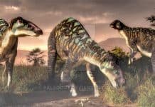 Edmontosaurus by Jk