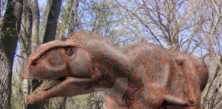 dinosaurs pictures and facts dinosaurs pictures and facts