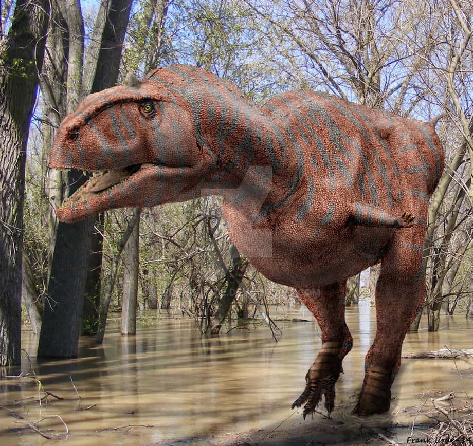 Majungasaurus The Last Of The Dinosaurs Majungasaurus The Last Of The Dinosaurs