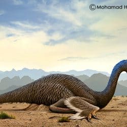 Gigantoraptor by Mohamad Haghani