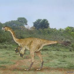 Gigantoraptor by SameerPrehistorica