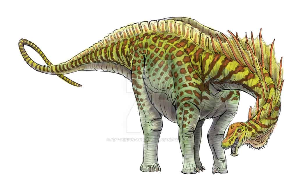 Amargasaurus by Andrew Minniear