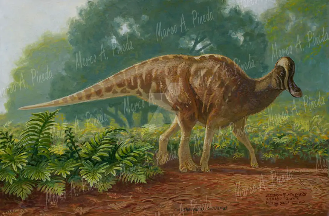 Corythosaurus by Marco A. Pineda