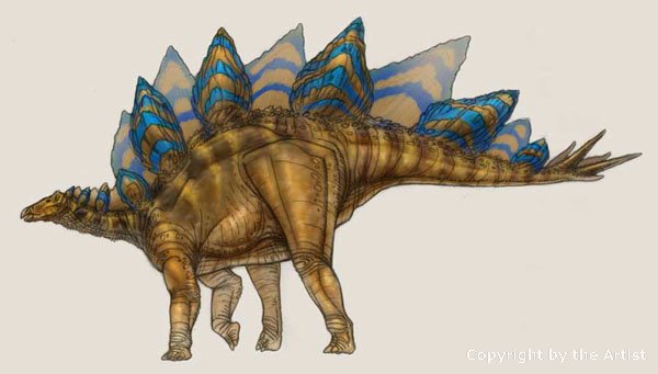 stegosaurus facts and pictures