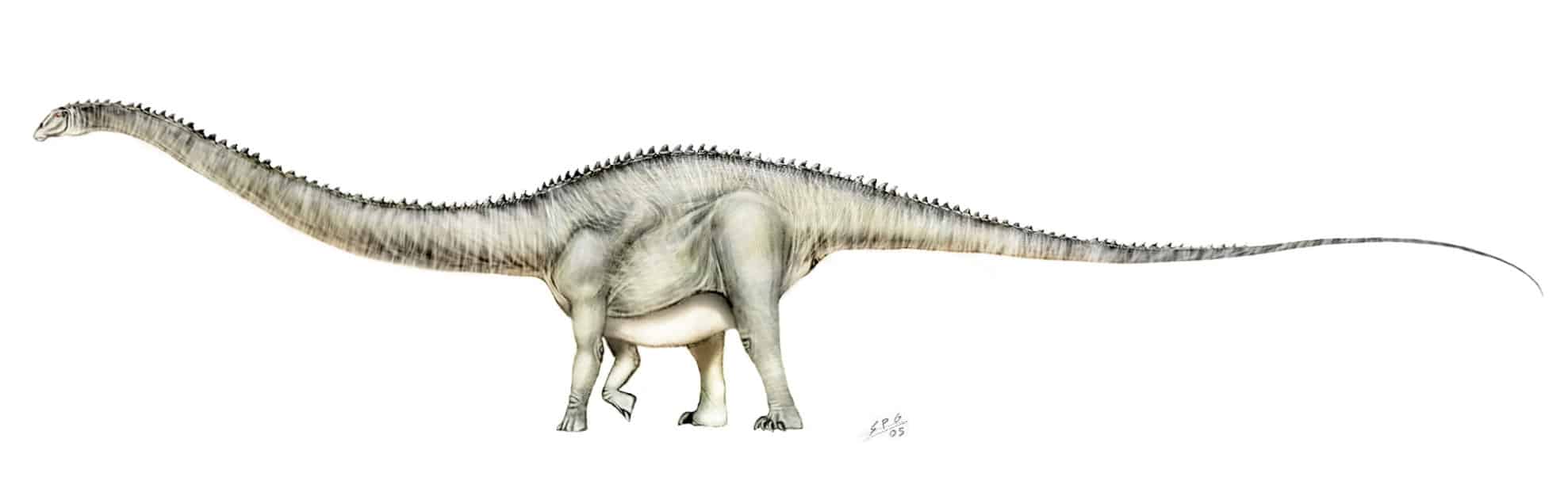 supersaurus facts and pictures