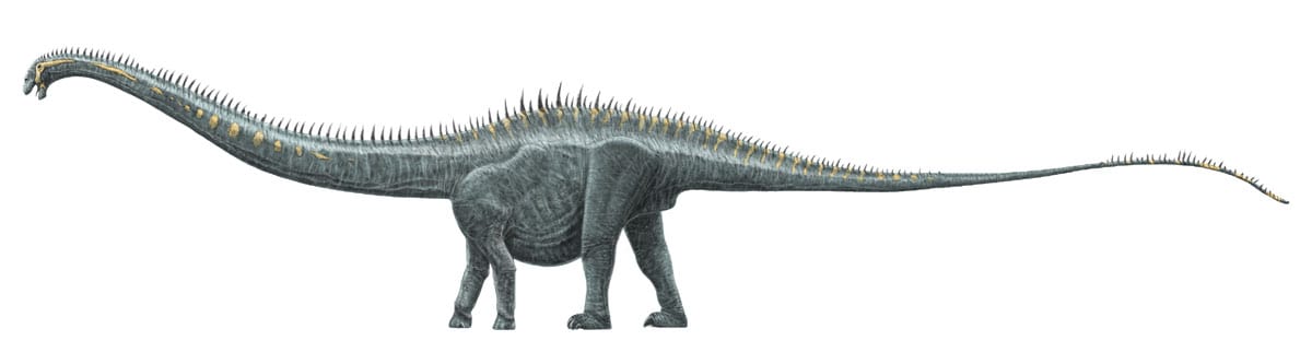 supersaurus facts and pictures