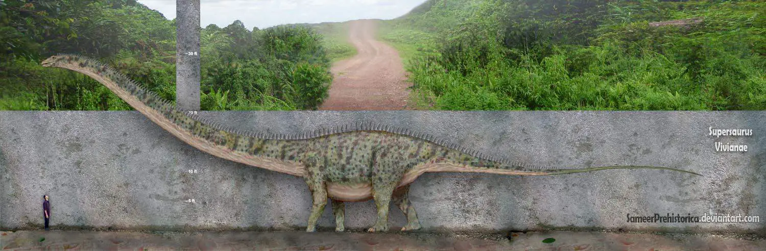supersaurus facts and pictures