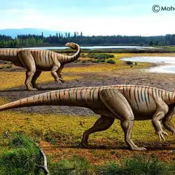 Plateosaurus by Mohamad Haghani