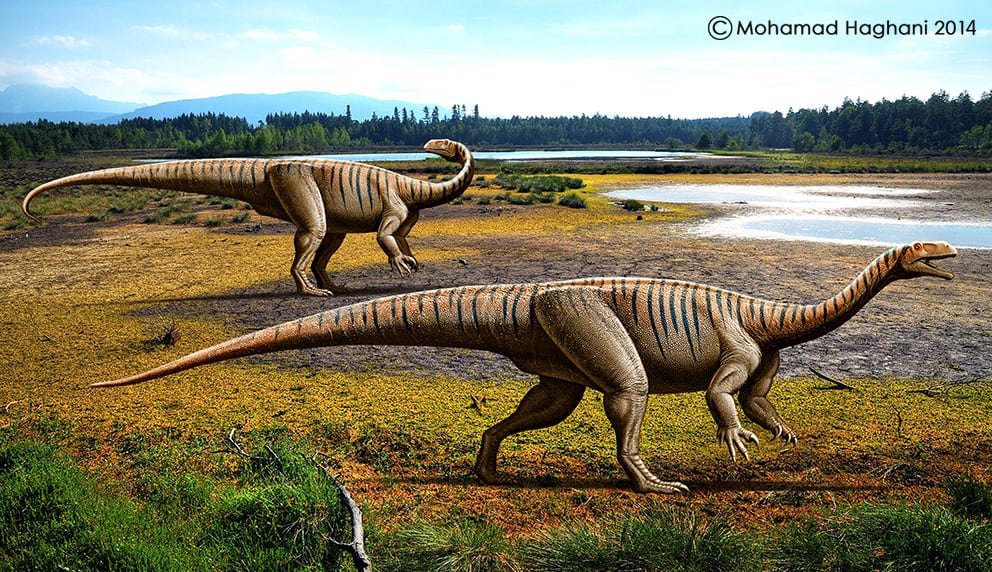 Plateosaurus Dinosaurs Pictures And Facts