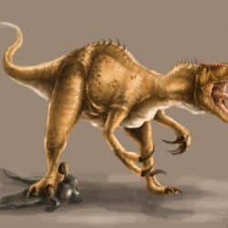 Megaraptor by Raphael