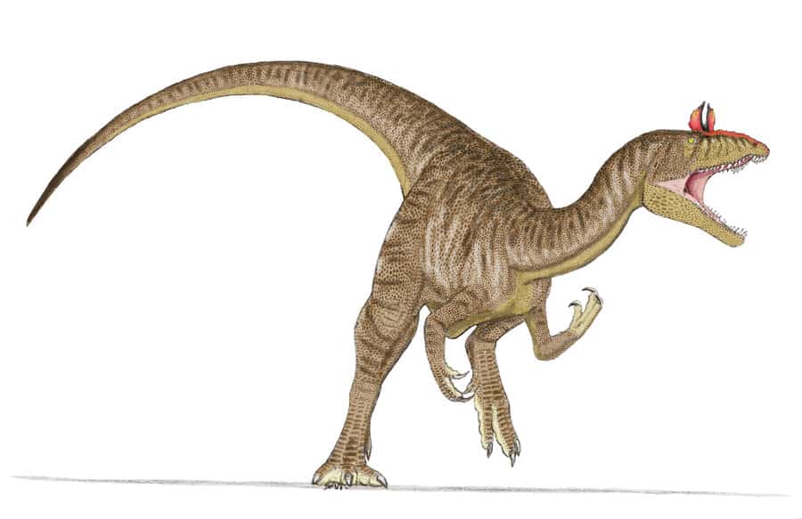 Cryolophosaurus by Sam