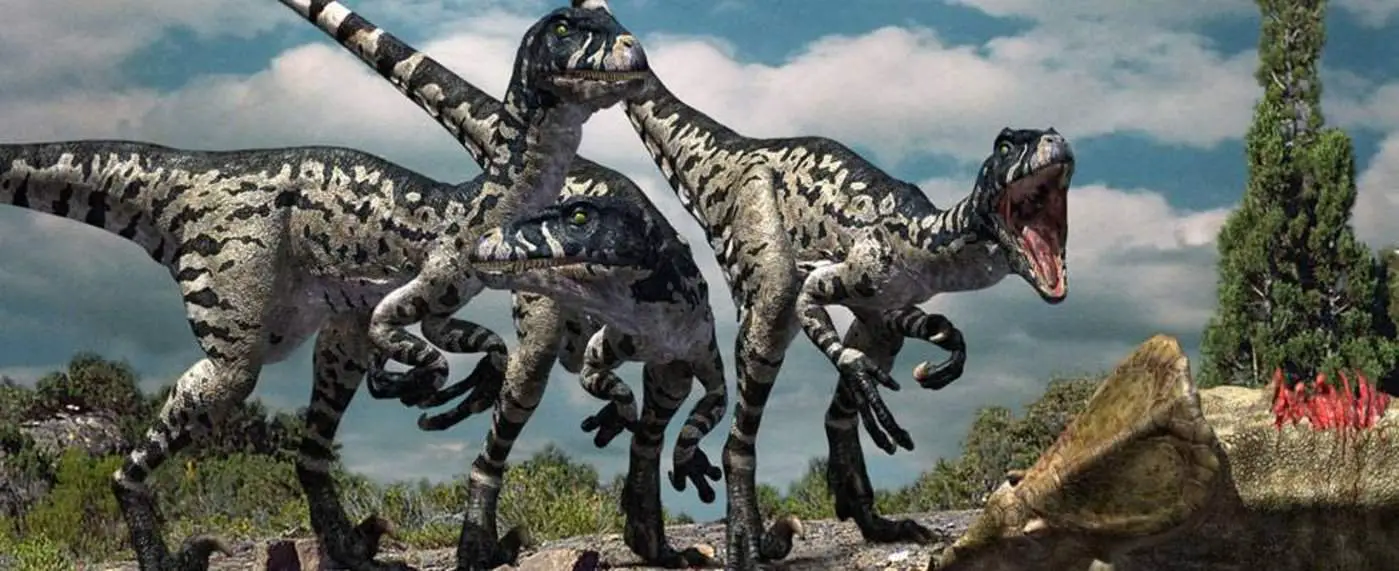 Dromaeosaurus by Doruk
