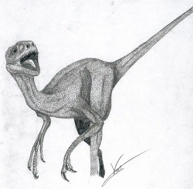 Dromaeosaurus by Julien