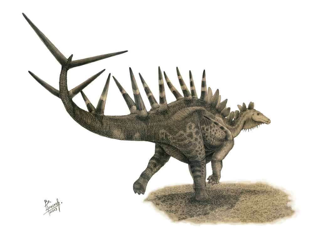 Kentrosaurus by Vladimir Nikolov