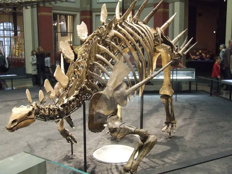 Kentrosaurus by Spartan