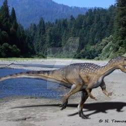 Metriacanthosaurus by Nobu Tamura