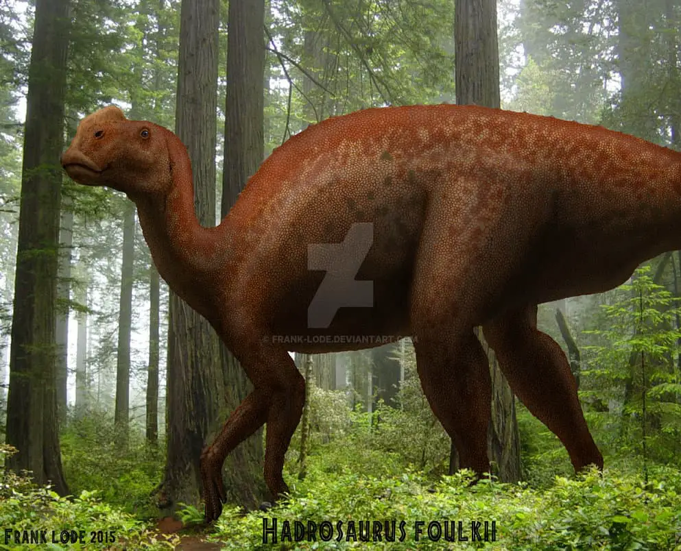 hadrosaurus pictures