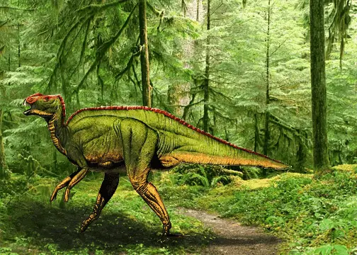 hadrosaurus pictures
