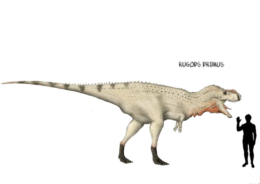 Rugops - Facts and Pictures