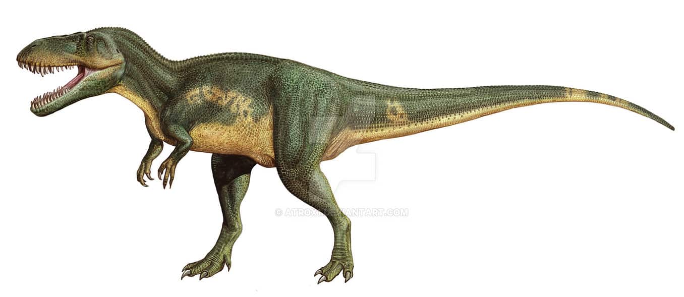 Resultado de imagen para Torvosaurus