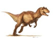 Allosaurus by L. D. Austin