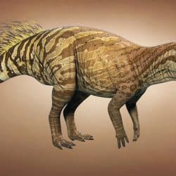 Psittacosaurus by Vlad Konstantinov