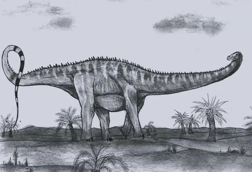 Barosaurus by Dean