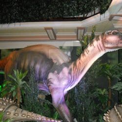 Muttaburrasaurus by Jessie