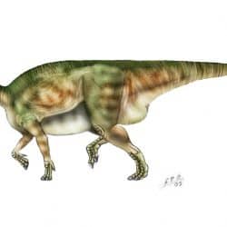 Muttaburrasaurus by Sergio Perez