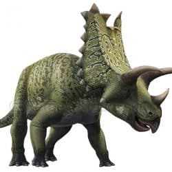 Pentaceratops by Sergey Krasovskiy