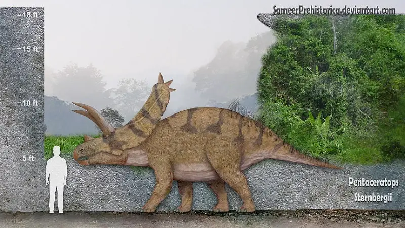 Pentaceratops by SameerPrehistorica