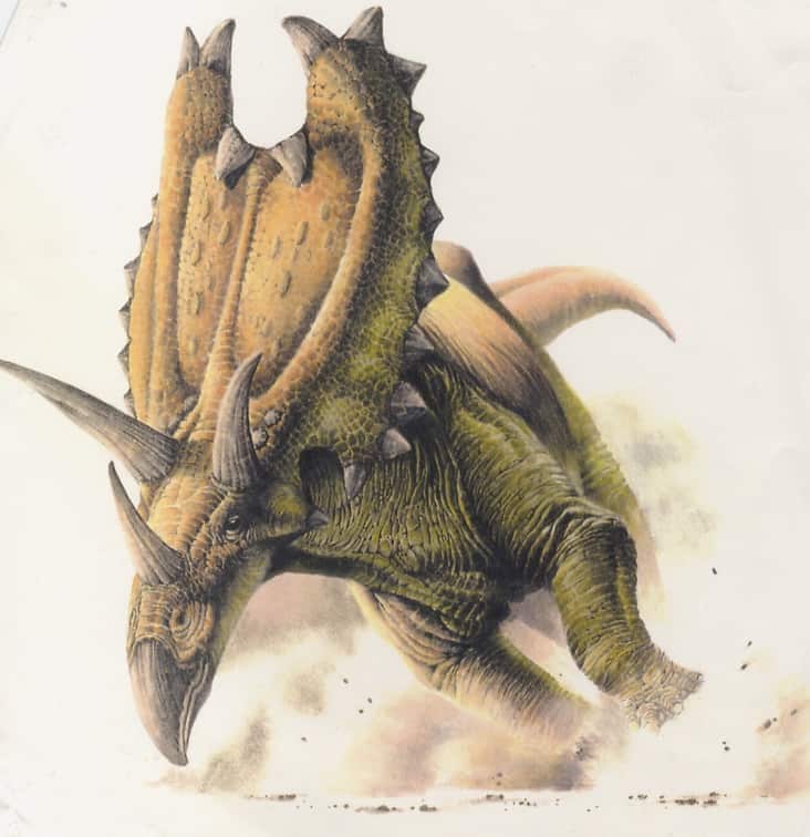 Pentaceratops by Steve White