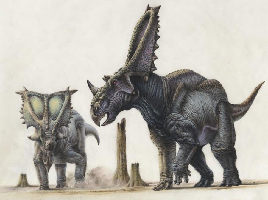Chasmosaurus by Steve White