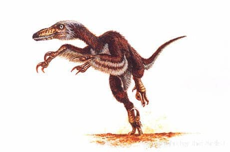 Velociraptor by Mineo Shiraishi