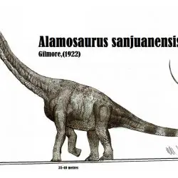 Alamosaurus by Robinson Kunz