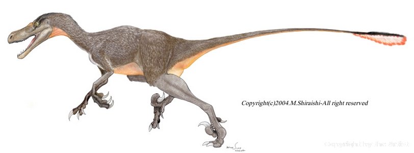 velociraptor facts and pictures