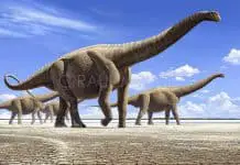 Argentinosaurus by Raul Martin