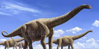 Argentinosaurus by Raul Martin