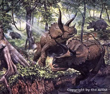 Triceratops by Mark Hallett