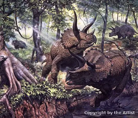 triceratops by mark hallett