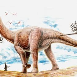 Argentinosaurus by Jorge Antonio Gonzalez